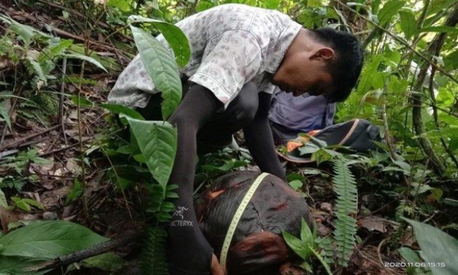 Infopublik Dua Pekan Lagi Bunga Raflesia Di Data Sungai Taleh Mekar Sempurna