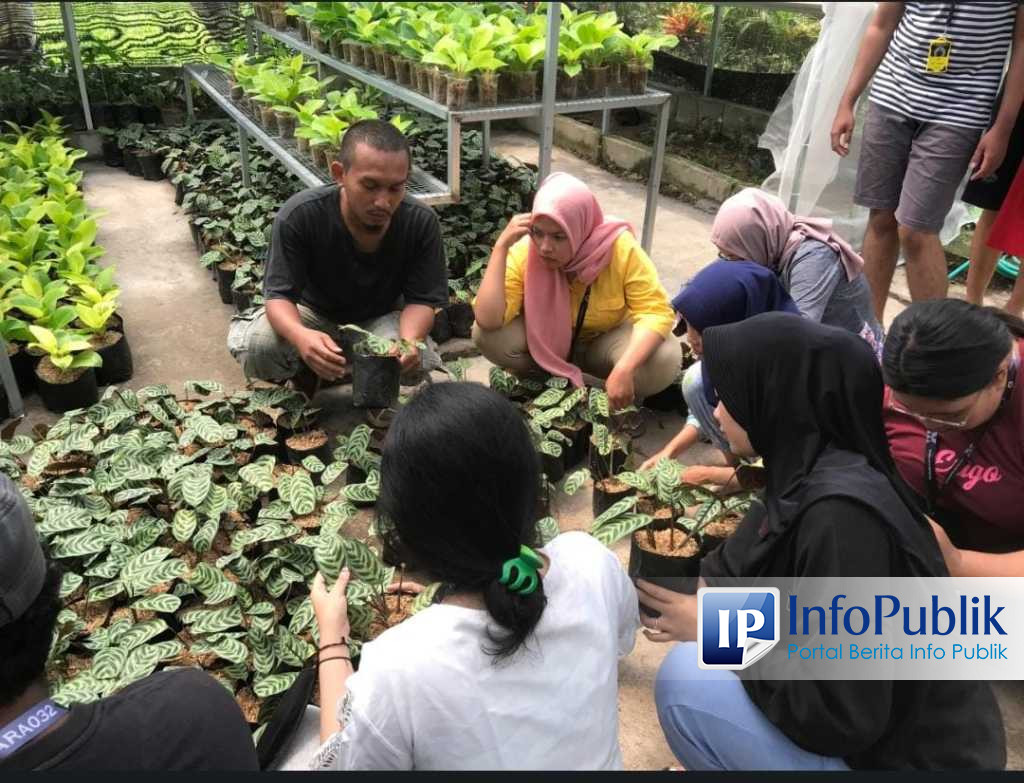 InfoPublik Fisip Ubhara Tumbuhkan Jiwa Kepedulian Mahasiswa Lewat KKN