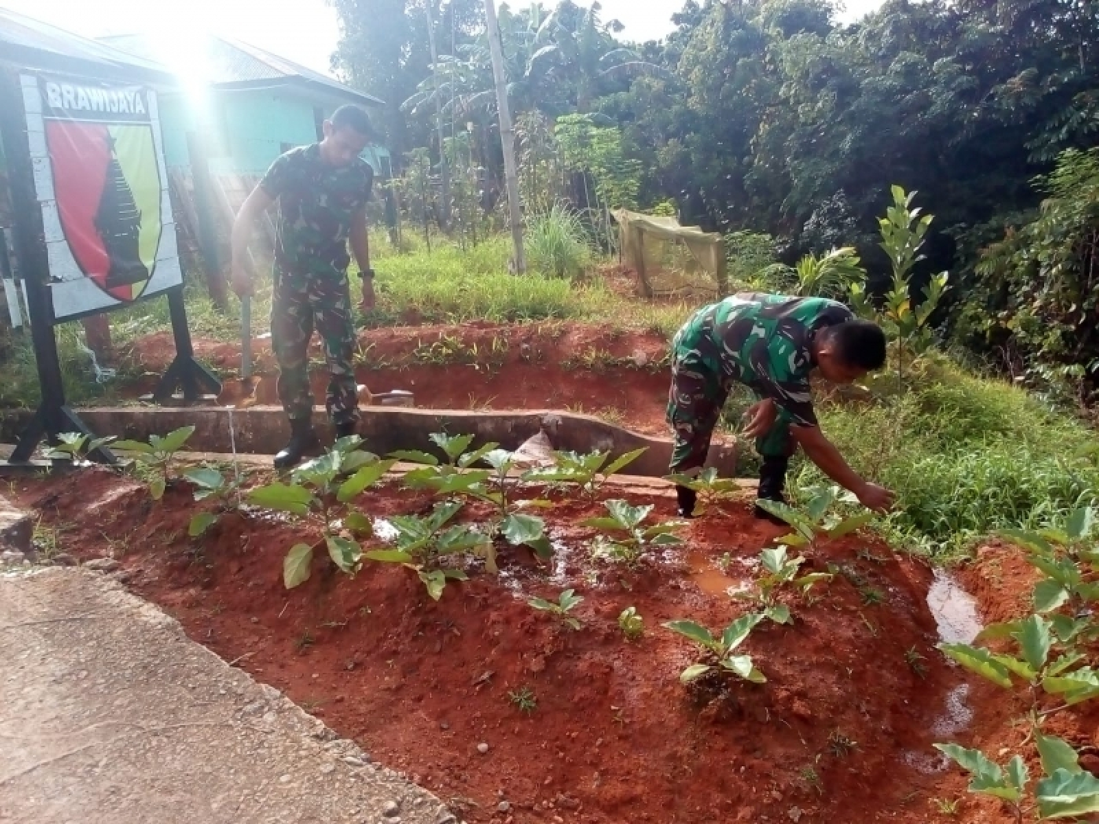 Infopublik Jaga Ketahanan Pangan Satgas Pamtas Ri Png Ajak Warga