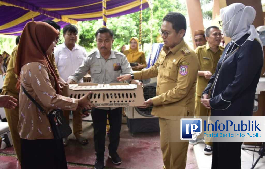 Infopublik Penjagub Gorontalo Serahkan Pelbagai Bantuan Pertanian