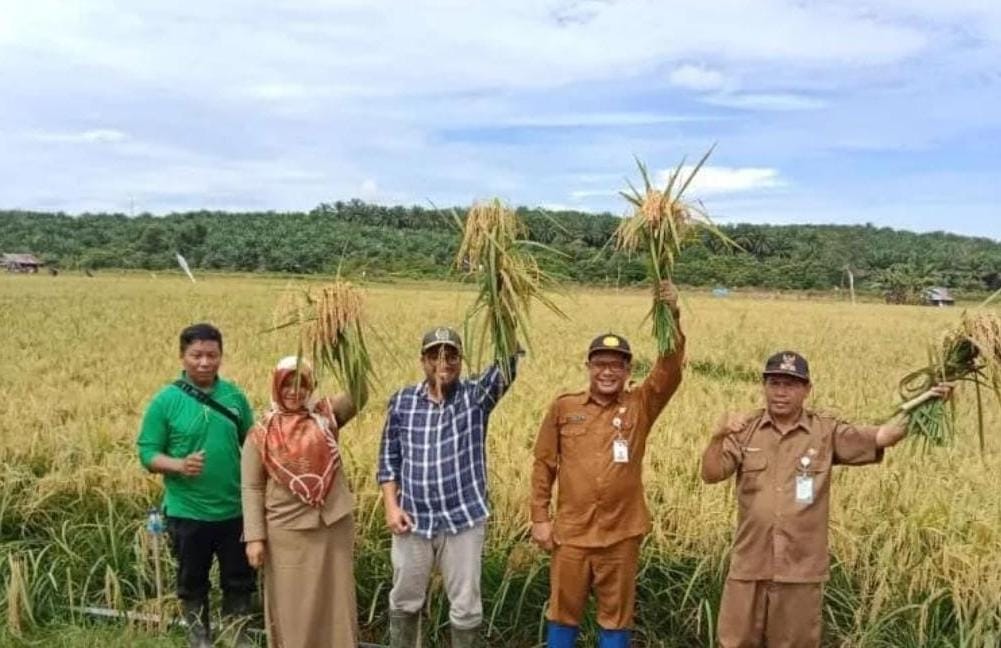 InfoPublik Penuhi Target Produksi 5 000 Ha Kabupaten Paser Kaltim