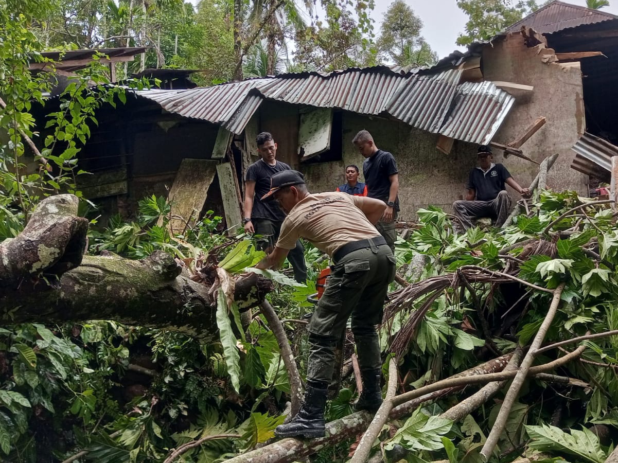 InfoPublik BPBD Evakuasi Pohon Tumbang Timpa Rumah Dan Hambat Akses