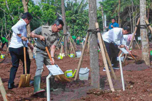 InfoPublik Atasi Perubahan Iklim Pj Gubernur Heru Tanam Pohon