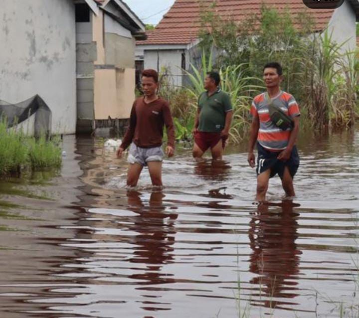 Infopublik Akibat Hujan Deras Sejumlah Kawasan Pemukiman Di Palangka