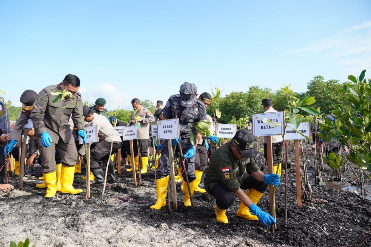 InfoPublik Peduli Kelestarian Laut Jefridin Turut Tanam Mangrove Di