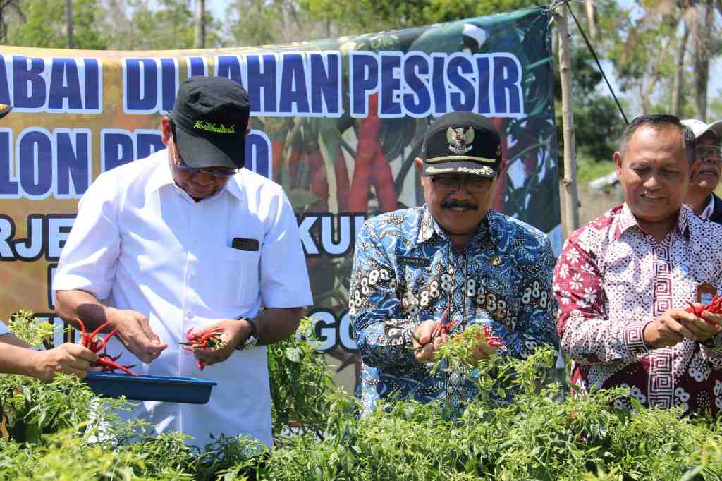 Infopublik Kembangkan Kawasan Hortikultura