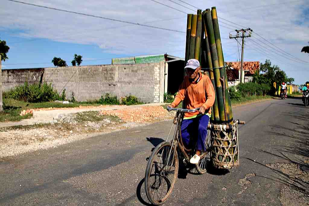 Infopublik Angkut Bambu