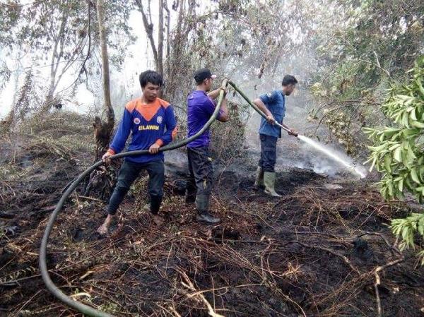 Infopublik Sejumlah Titik Api Di Bengkalis Berhasil Dipadamkan