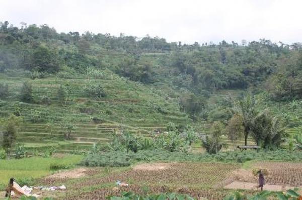 Infopublik Keindahan Desa Sagarahiang Kabupaten Kuningan