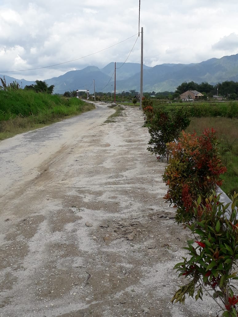 InfoPublik - Bunga Ditanam di Sepanjang Jalan Objek Wisata Pantai 