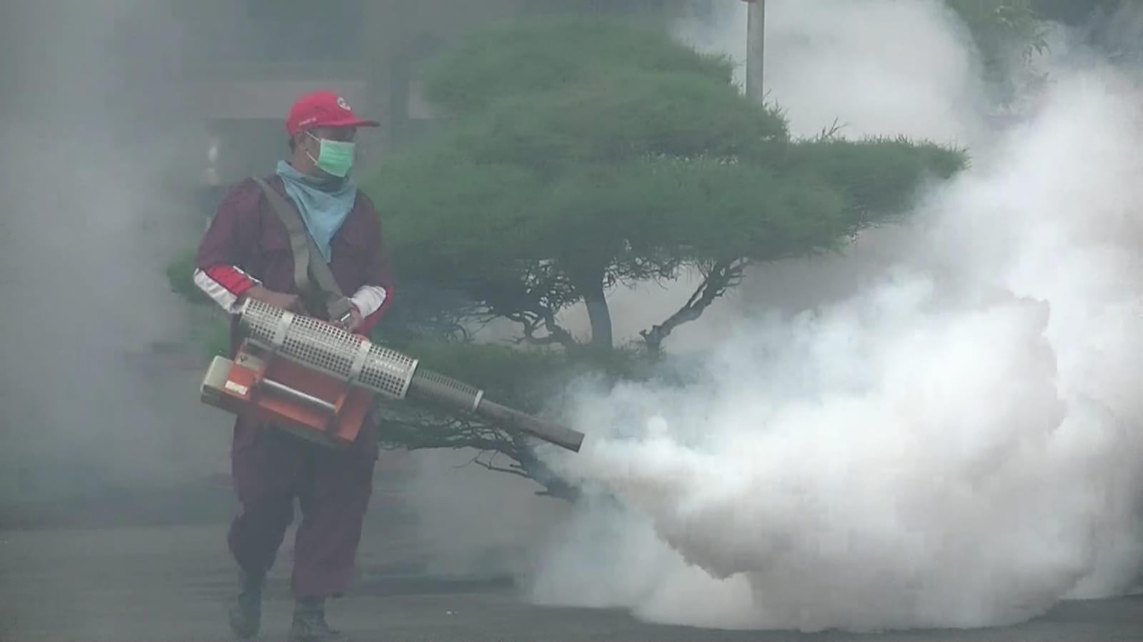 Temanggung Health Office Fogging DHF Endemic Area