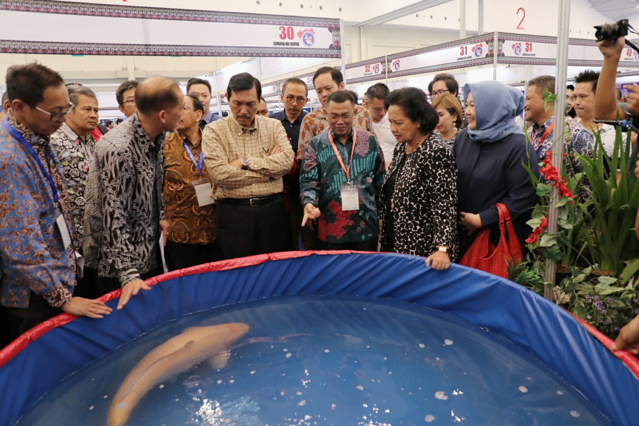 87+ Ikan Hias Air Laut Tangerang Gratis