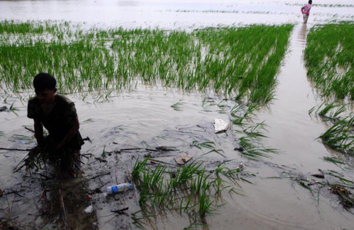 Infopublik Kementan Beri Bantuan Bagi Petani Terdampak Banjir