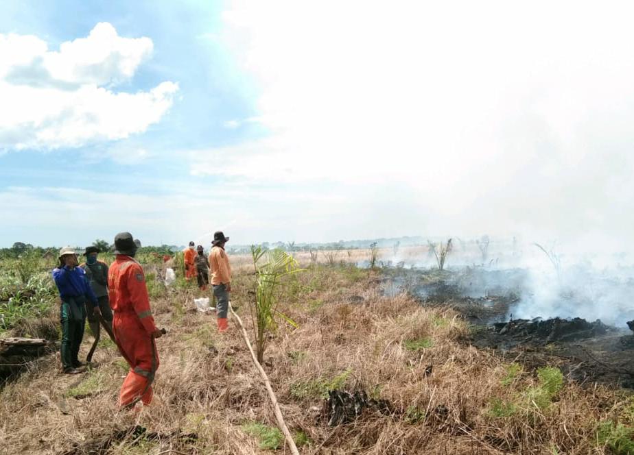 Infopublik Bpbd Riau Catat Luas Lahan Terbakar Capai 16 Hektare 8911