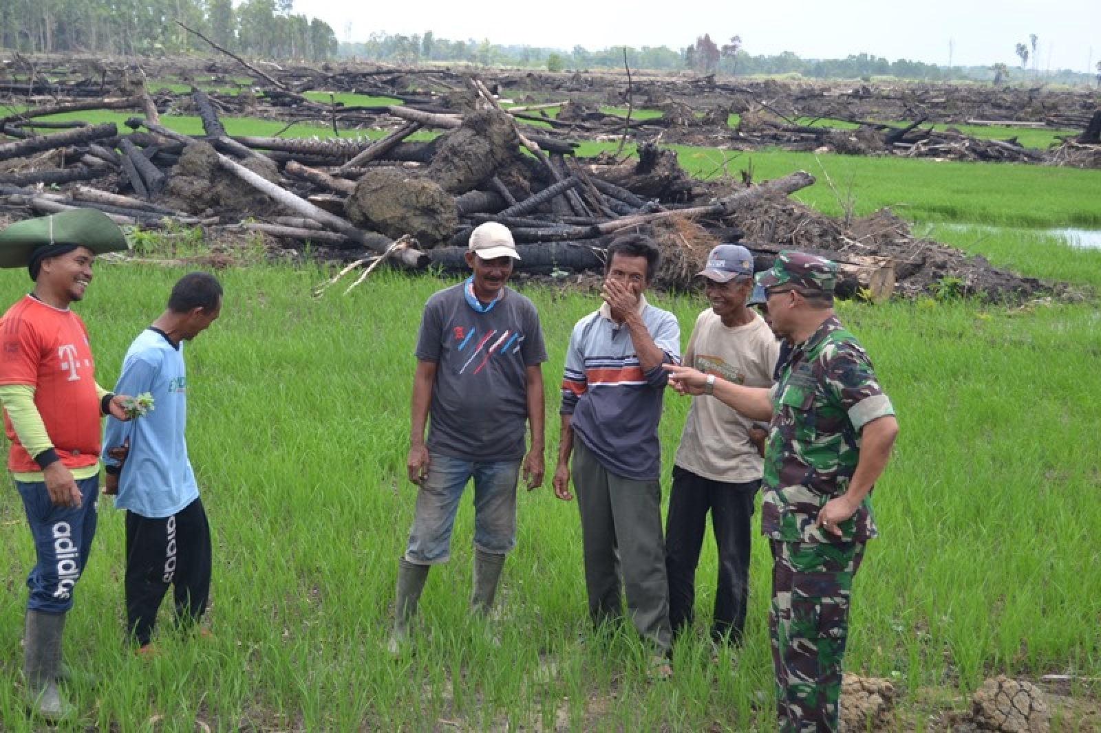 InfoPublik - Bulan Ini, Cetak Sawah Di Merauke Tuntas 2.000 Hektare