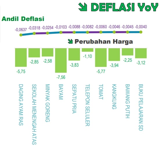 InfoPublik - Daging Ayam Ras, Sumbang Deflasi Terbesar Di Januari 2023