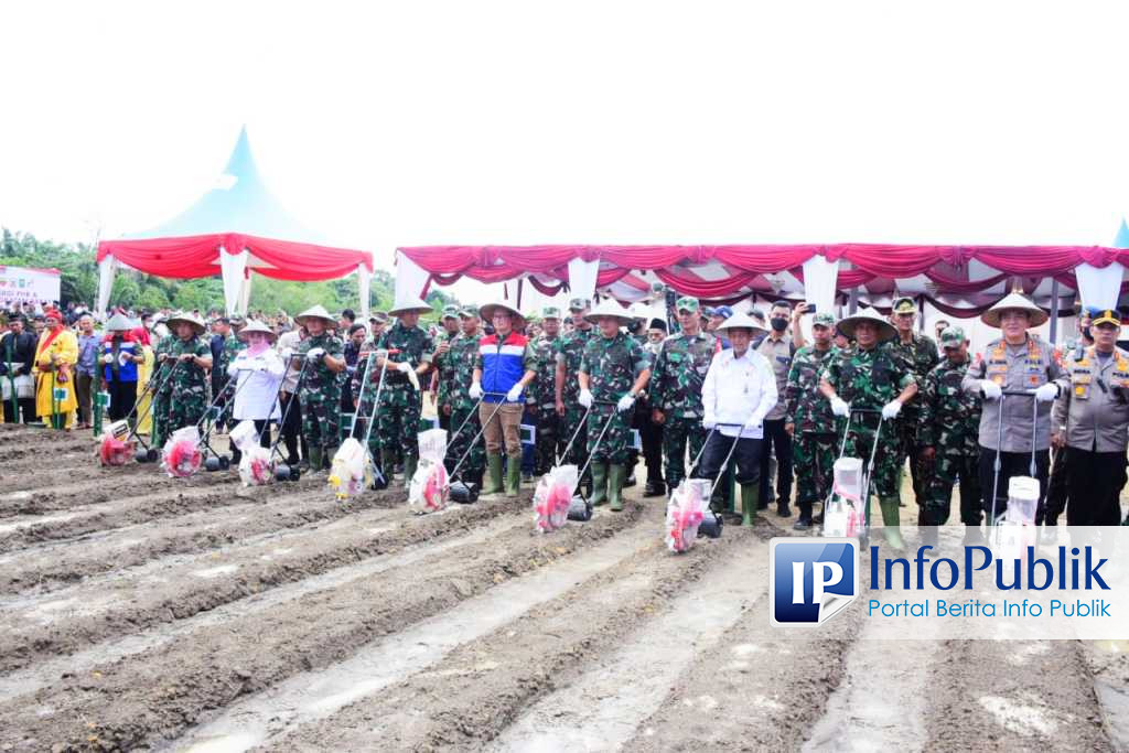 InfoPublik - Dukung Ketahanan Pangan Nasional, TNI AD Bersama PHR Olah ...