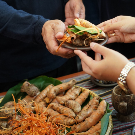 Indonesia Kejar Kemandirian Bahan Baku Obat Tradisional