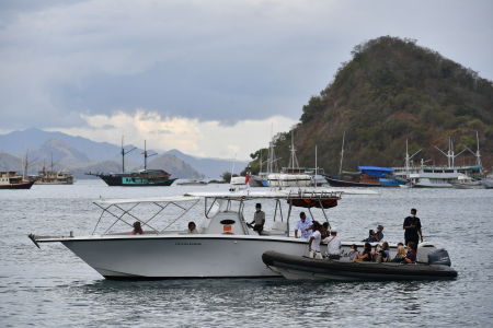 Delegasi Pertemuan Kedua Sherpa G20 Dibawa Melihat Hewan Purba di Pulau Komodo