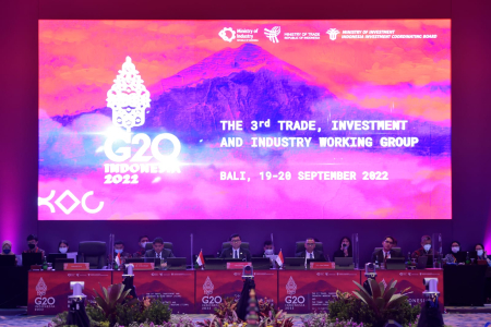 Kemendag: Delegasi 3rd TIIWG G20 Diharapkan Berpartisipasi Aktif Bahas Enam Isu Prioritas 