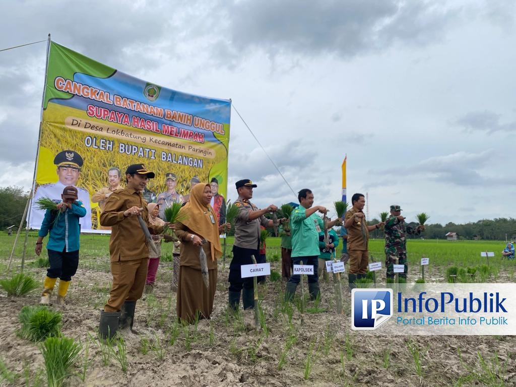 Infopublik Bupati Balangan Bersama Masyarakat Desa Lok Batung Tanam Padi Serentak