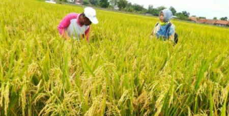 Pembuka Rangkaian AMM G20, Global Forum Bahas Pertanian Digital