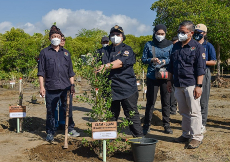 Indonesia Pimpin Negara G20 dalam Program Restorasi Mangrove 