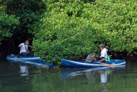 Anggota G20 Tertarik Bantu Indonesia Rehabilitasi Mangrove