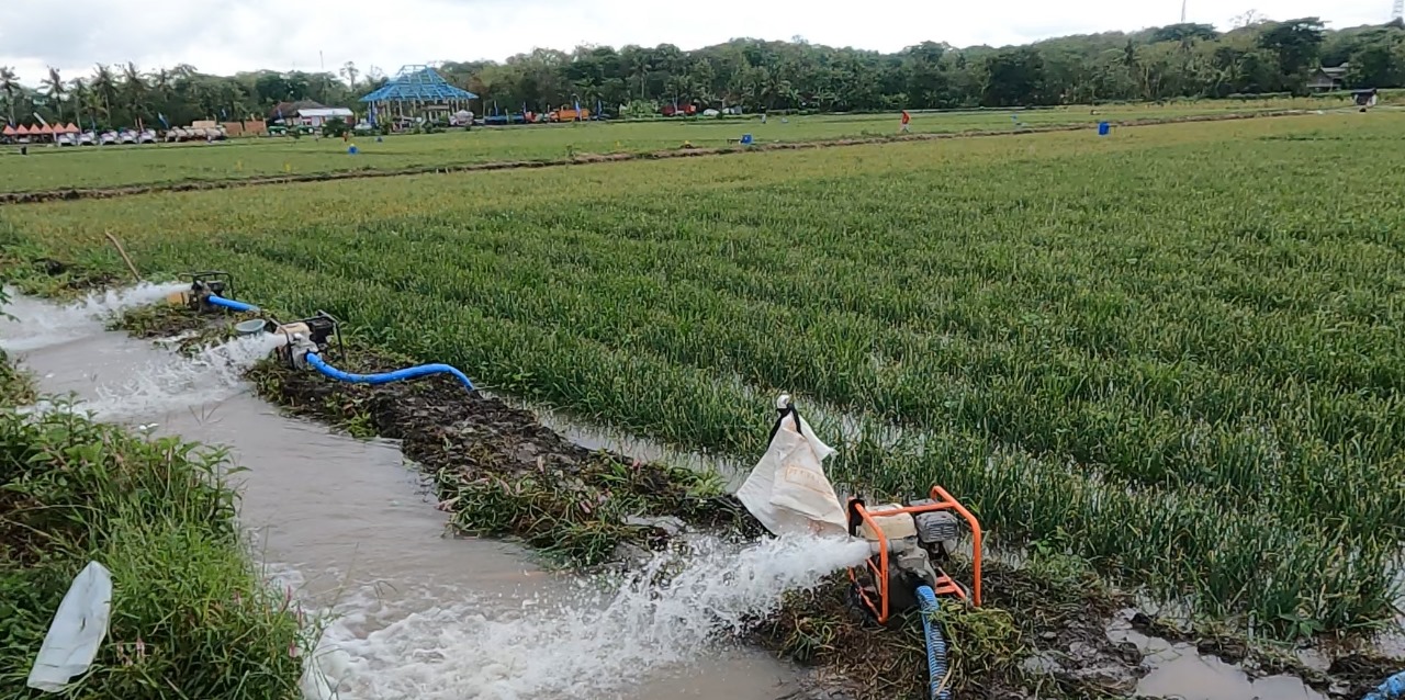 InfoPublik - Kementan Andalkan Pompanisasi Untuk Atasi Kekeringan 50 Ha ...