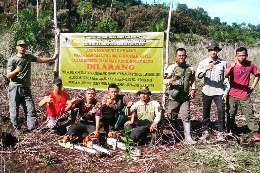 Infopublik Dua Hektar Lahan Sawit Dimusnahkan Di Giam Siak Kecil