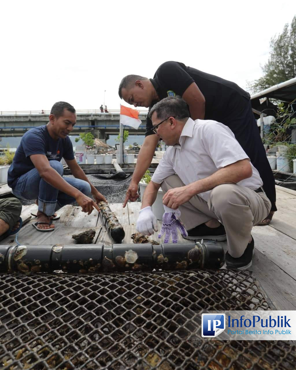 Infopublik Pertumbuhan Ekonomi Pesisir Bakri Siddiq Apresiasi