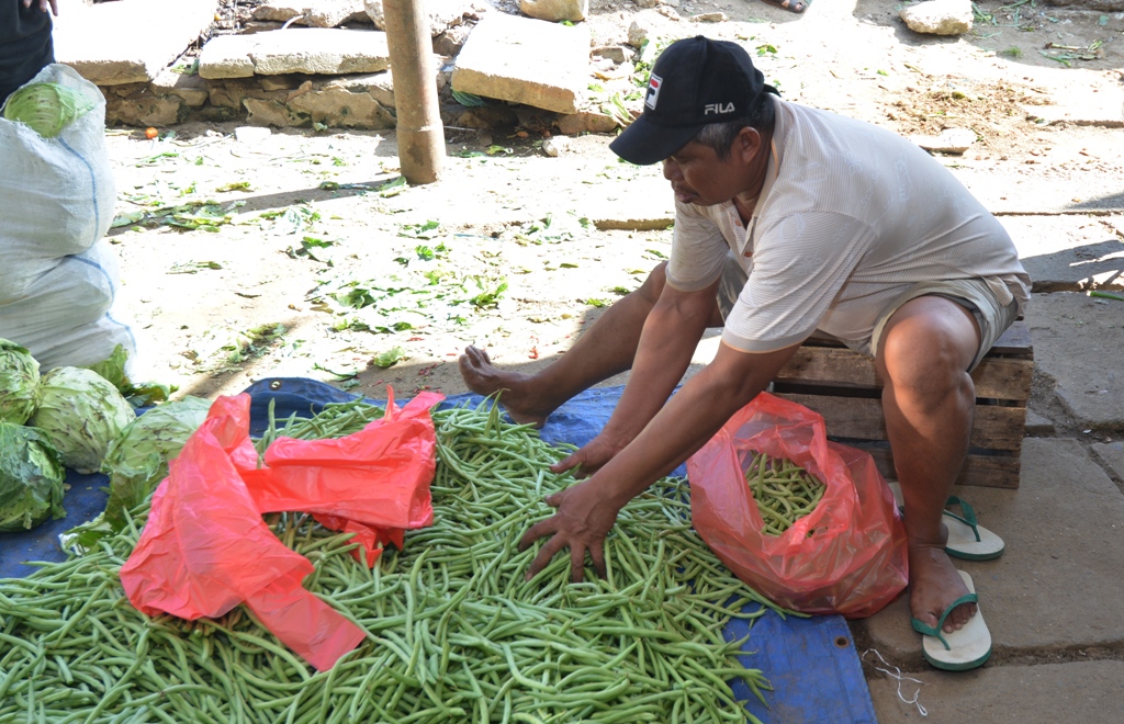 Infopublik Kemas Sayur Buncis