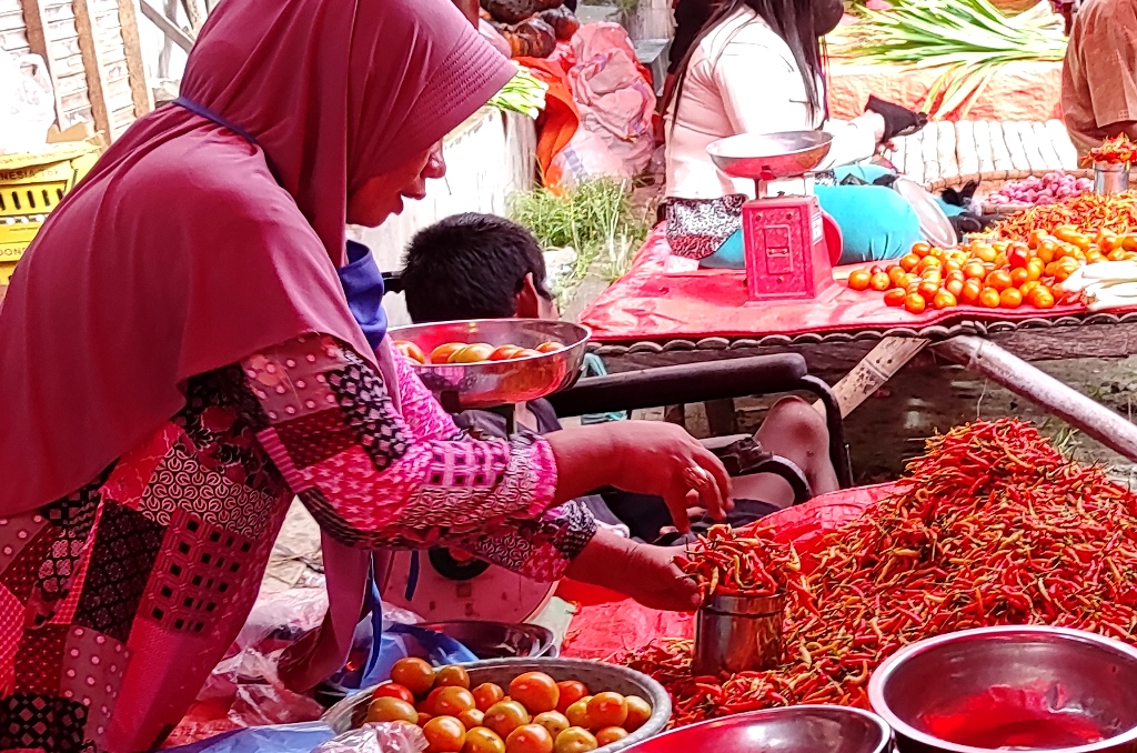 Infopublik Menakar Cabai 