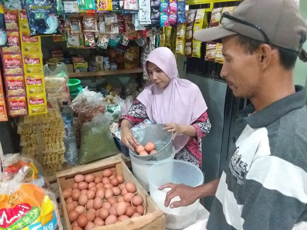 Harga Telur Ayam 2019 : Ultimatum Mentan Harga Telur Ayam Ras Maksimal