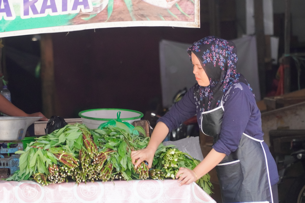 Infopublik Menyusun Sayuran