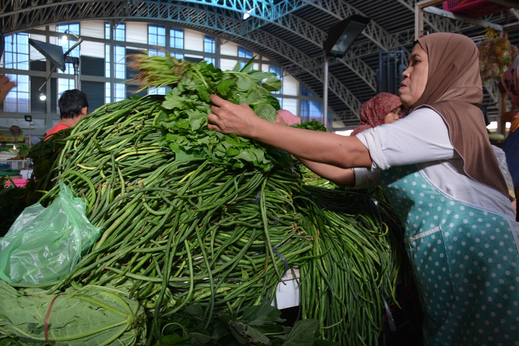 Infopublik Jual Sayuran