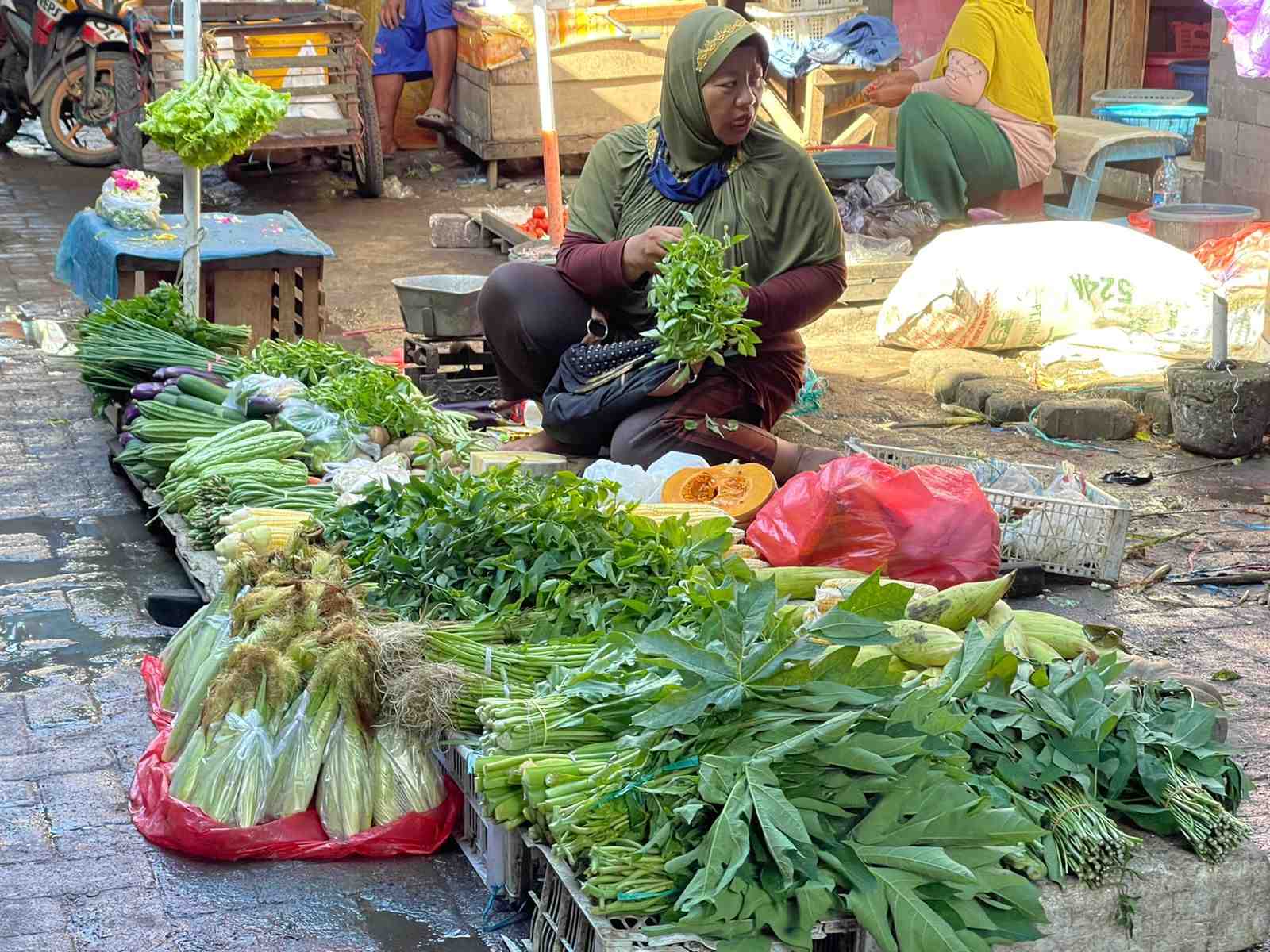 Infopublik Mengikat Sayuran