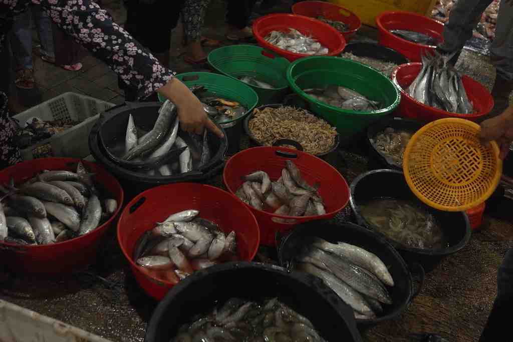 Infopublik Pasar Ikan Balekambang Solo Kembali Beroperasi