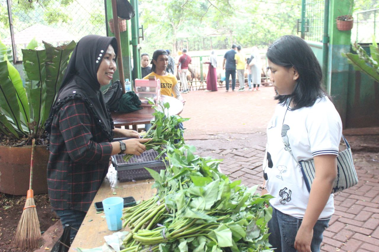 Infopublik Sayur Hijau Untuk Rusa