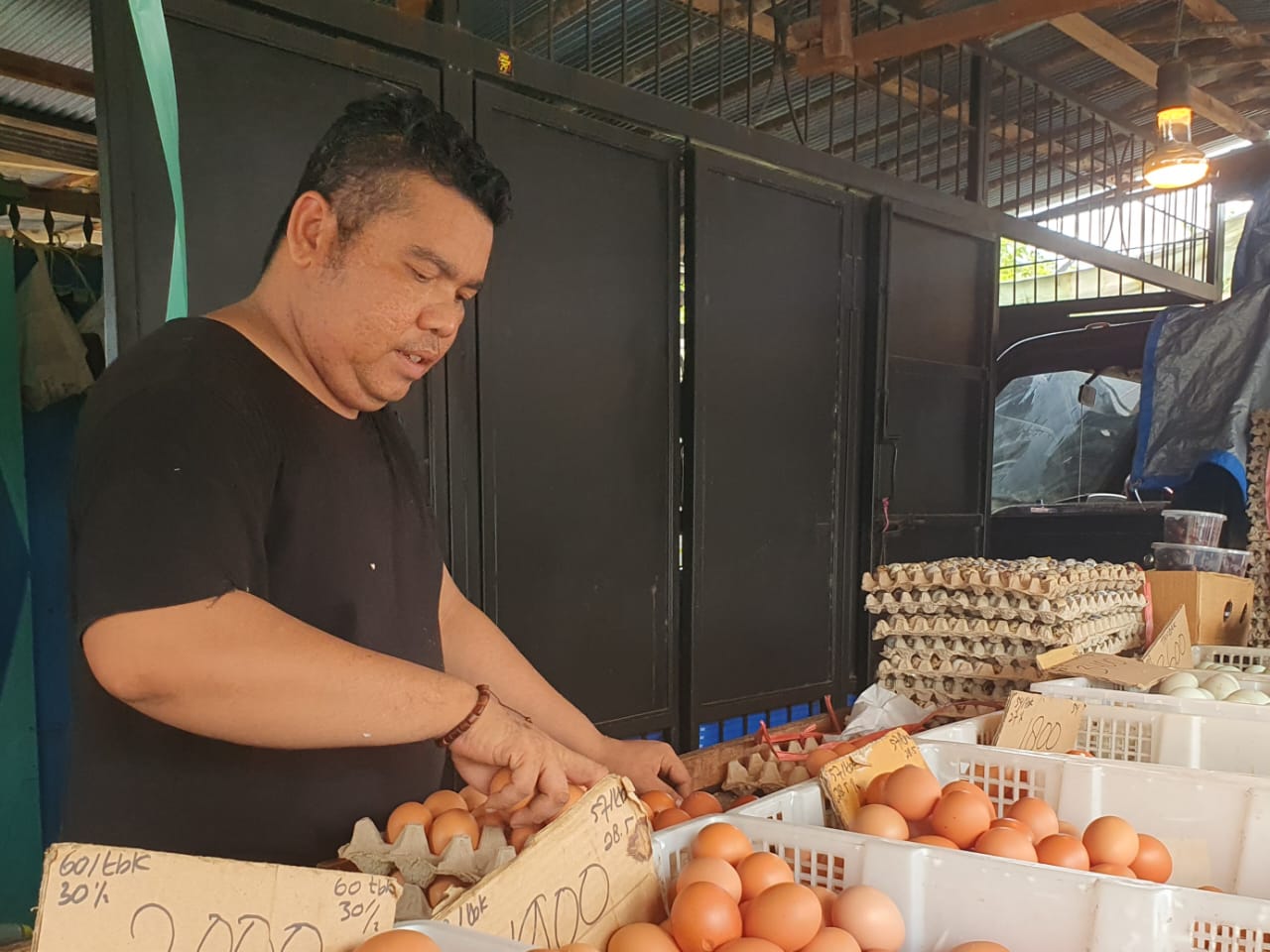 Infopublik Menyusun Telur Ayam