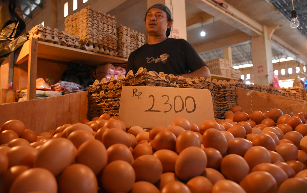 Infopublik Harga Telur Ayam Naik