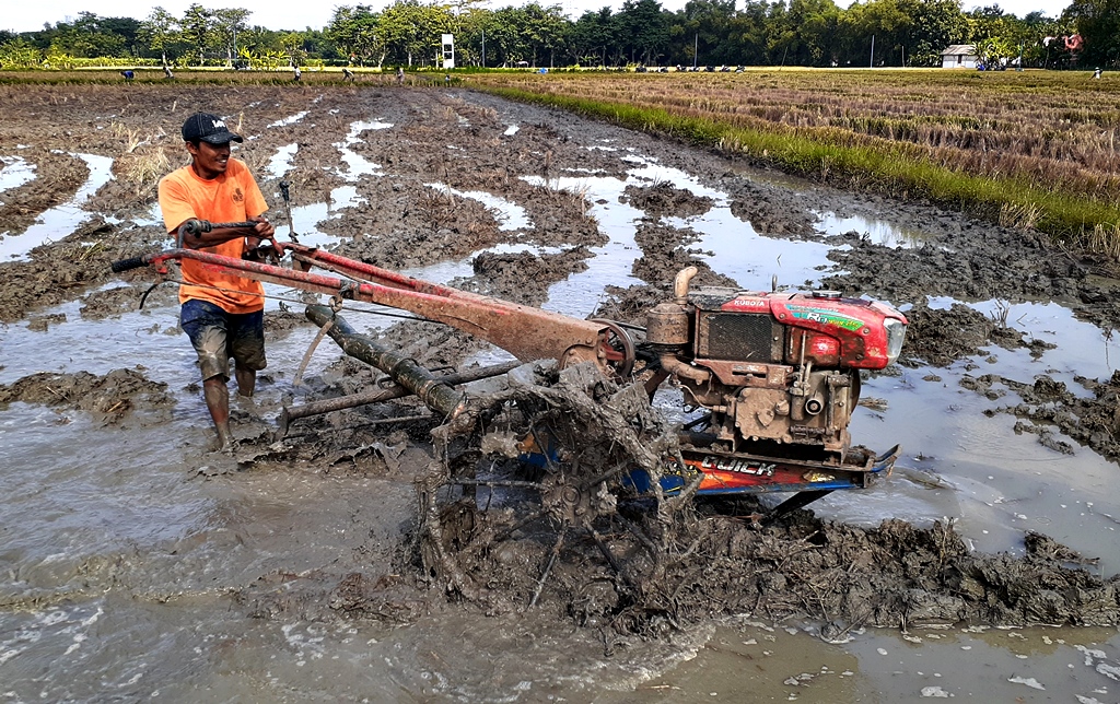 InfoPublik - BAJAK SAWAH GUNAKAN TRAKTOR