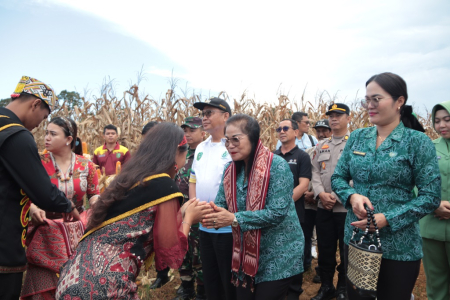 PANEN RAYA JAGUNG DI KABUPATEN BENGKAYANG