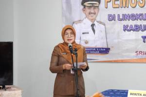 PEMUSNAHAN ARSIP SKPD
