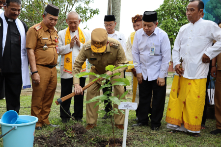 TANAM POHON MATOA