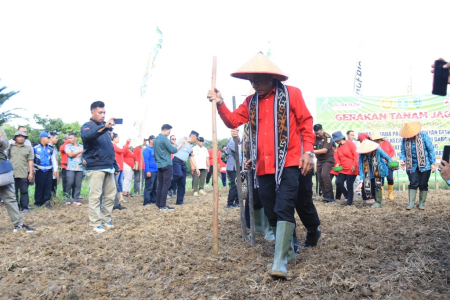 GERAKAN TANAM JAGUNG