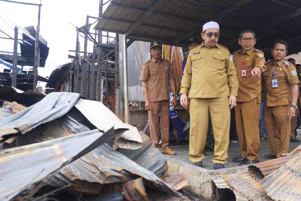 PANTAU PUING PASCA KEBAKARAN 