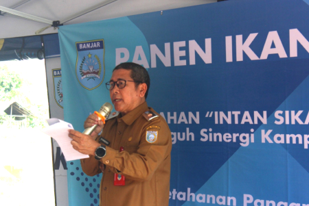 PANEN IKAN PAPUYU POKDAKAN TABULIHIN