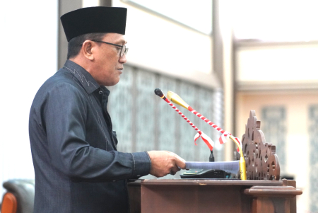 PEMANDANGAN UMUM RAPERDA RPJMD 2025 – 2029