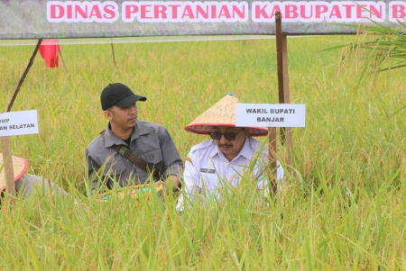 PANEN RAYA SERENTAK